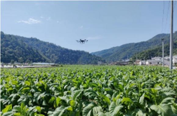 曲靖多个项目入围！云南省2025年第一批低空经济应用场景需求和供给清单公开发布